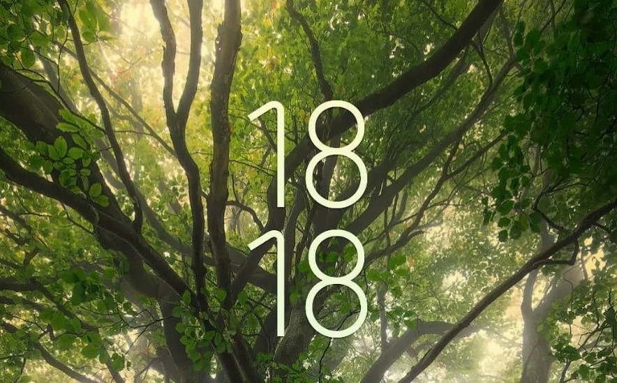 Який духовний зміст має число 1818